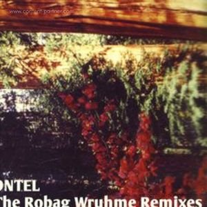 Cover for Dntel · The Robag Wruhme Remixes (12&quot;) (2012)