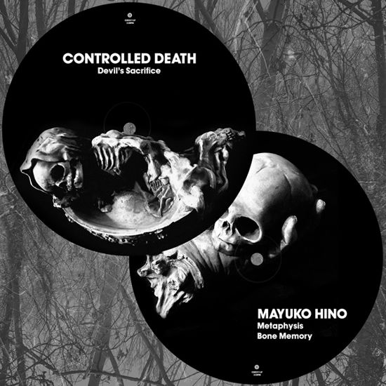 Cover for Controlled Death / Mayuko Hino · Split (LP) (2021)