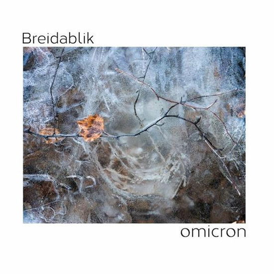 Omicron - Breidablik - Musik - PANCROMATIC - 2090504894647 - 5. März 2020