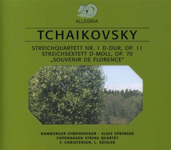Cover for Copenhagen String Quartet · Copenhagen String Quartet - Streichquartett Nr 1/streichsextett Op 70 (CD)