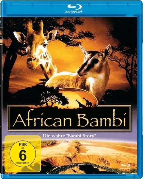 African Bambi - V/A - Films - GREAT MOVIE - 4051238011647 - 14 juillet 2017