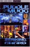 Cover for Puddle of Mudd · Striking That Familiar Chord (DVD) (2009)