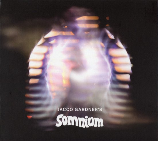 Somnium - Jacco Gardner - Music - EXCELSIOR - 8714374766647 - November 22, 2018
