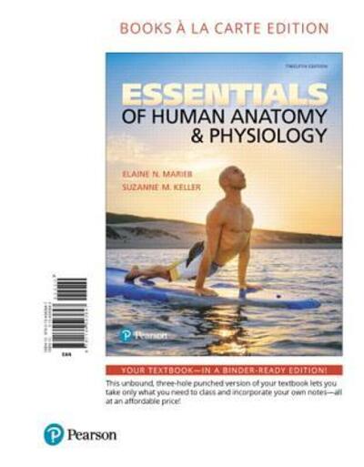 Essentials of Human Anatomy and Physiology, Books a la Carte Edition - Elaine N. Marieb - Książki - Pearson Education - 9780134593647 - 2 stycznia 2017