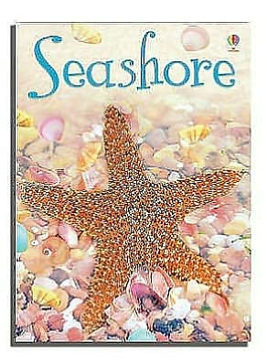 Seashore - Beginners - Lucy Bowman - Books - Usborne Publishing Ltd - 9780746088647 - February 29, 2008