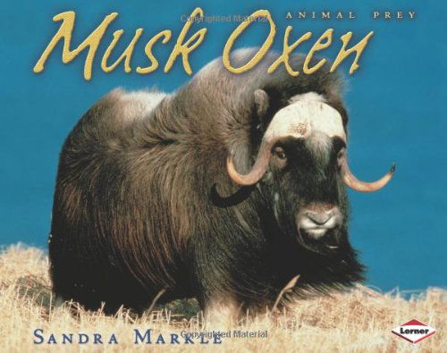 Cover for Sandra Markle · Musk Oxen (Animal Prey) (Hardcover Book) (2007)