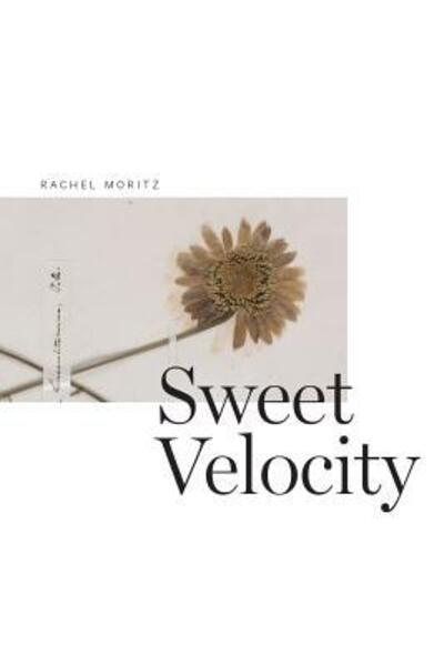 Cover for Rachel Moritz · Sweet Velocity (Paperback Book) (2017)