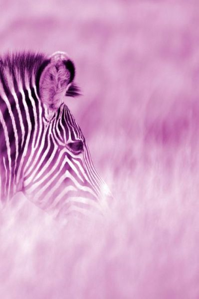 Eva-Lotta Jansson · Alive! zebra stripes - Magenta duotone - Photo Art Notebooks (6 x 9 series) (Paperback Book) (2015)