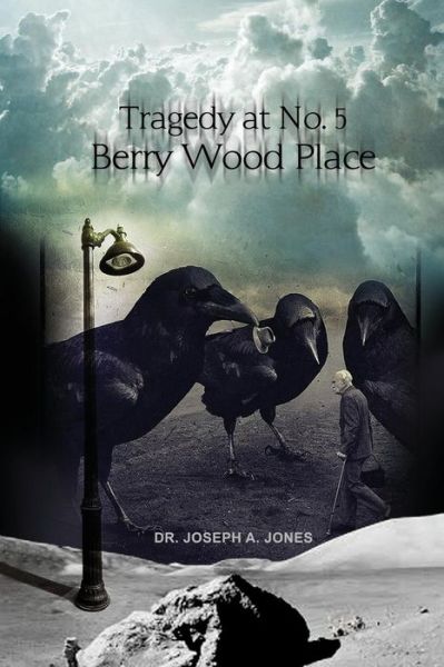 Cover for Joseph a Jones · Tragedy at No. 5 Berry Wood Place (Paperback Book) (2015)