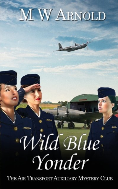 Cover for M W Arnold · Wild Blue Yonder - Broken Wings (Paperback Book) (2021)