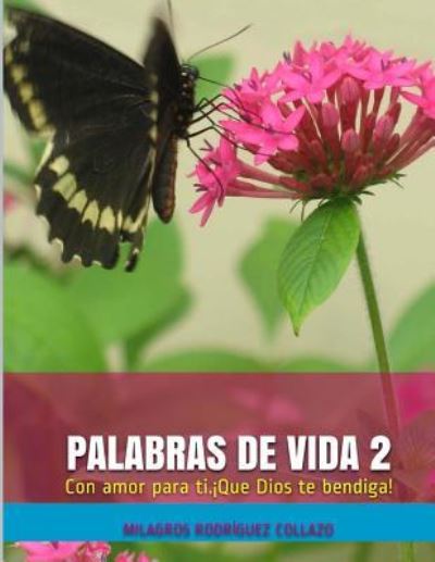 Cover for Milagros Rodríguez Collazo · Palabras de Vida 2 (Paperback Book) (2017)