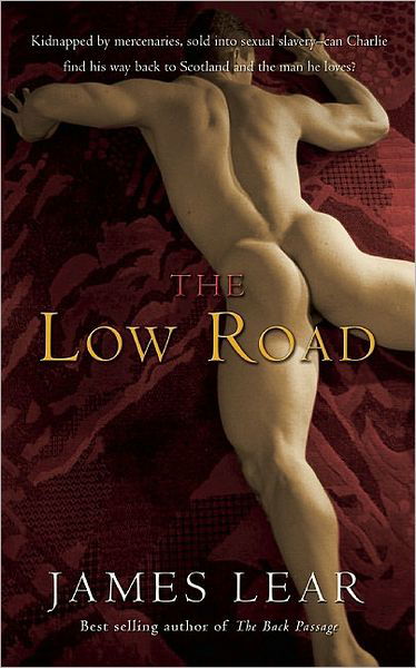 Cover for Lear, James (James Lear) · The Low Road (Taschenbuch) (2009)