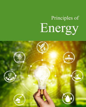 Cover for Salem Press · Principles of Energy (Hardcover Book) (2021)