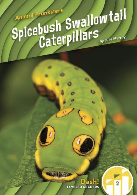 Cover for Julie Murray · Animal Pranksters: Spicebush Swallowtail Caterpillars (Paperback Book) (2022)