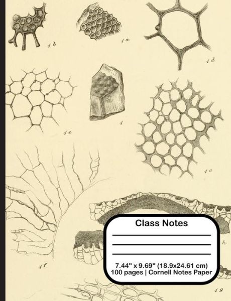 Class Notes - Terri Jones - Kirjat - Independently Published - 9781719922647 - tiistai 28. elokuuta 2018