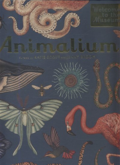 Cover for Jenny Broom · Animalium - Welcome To The Museum (Innbunden bok) (2017)