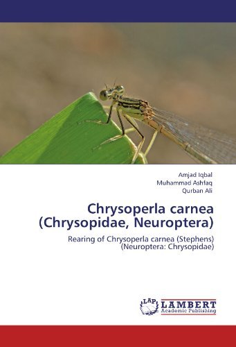 Cover for Qurban Ali · Chrysoperla Carnea (Chrysopidae, Neuroptera): Rearing of Chrysoperla Carnea  (Stephens) (Neuroptera: Chrysopidae) (Paperback Book) (2011)