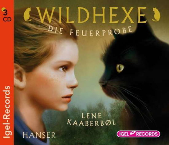 Cover for Kaaberbøl · Wildhexe.Feuerprobe, (Book) (2014)