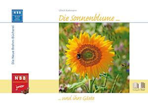 Cover for Ulrich Kattmann · Die Sonnenblume und ihre Gäste (Inbunden Bok) (2021)