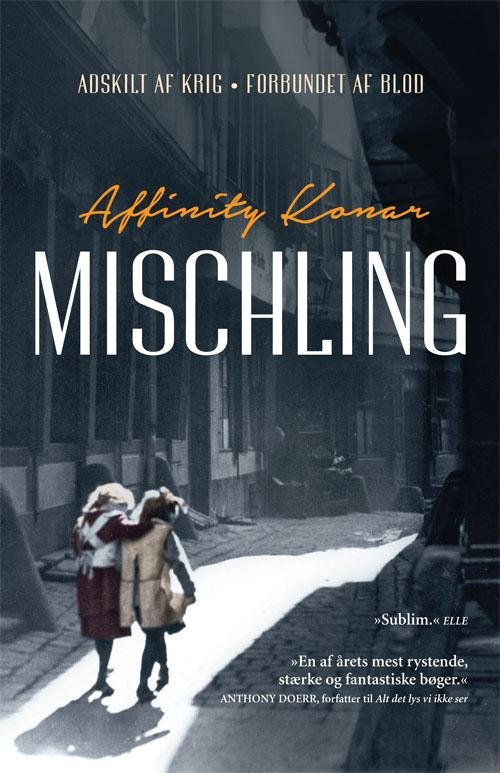 Cover for Affinity Konar · Mischling (Bound Book) [1º edição] (2017)