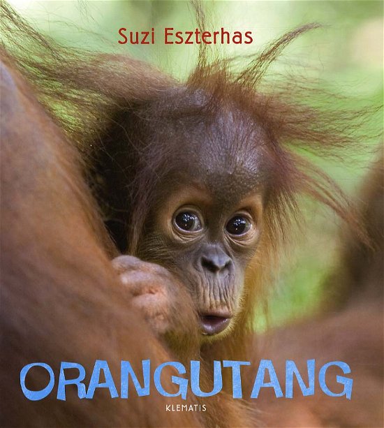 Cover for Suzi Eszterhas · Se på vilde dyr: Orangutang (Innbunden bok) [1. utgave] (2012)