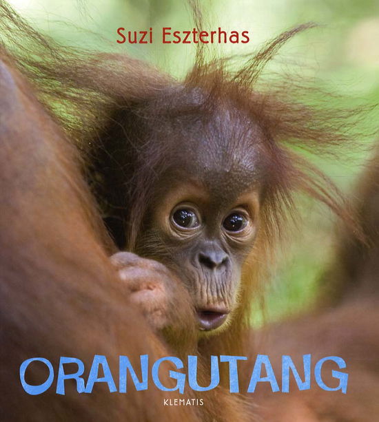 Cover for Suzi Eszterhas · Se på vilde dyr: Orangutang (Bound Book) [1º edição] (2012)