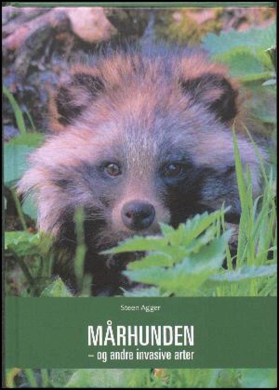 Cover for Steen Agger · Mårhunden - og andre invasive arter (Buch) (2019)