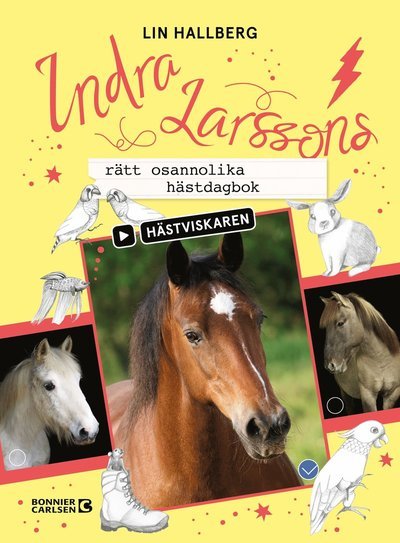 Cover for Lin Hallberg · Hästviskaren: Indra Larssons rätt osannolika hästdagbok (Landkarten) (2020)