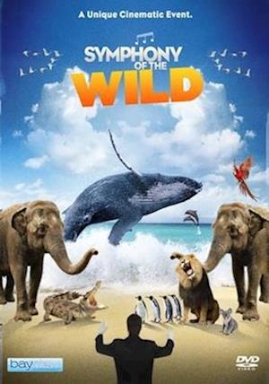 Cover for Symphony of the Wild (DVD) (2020)