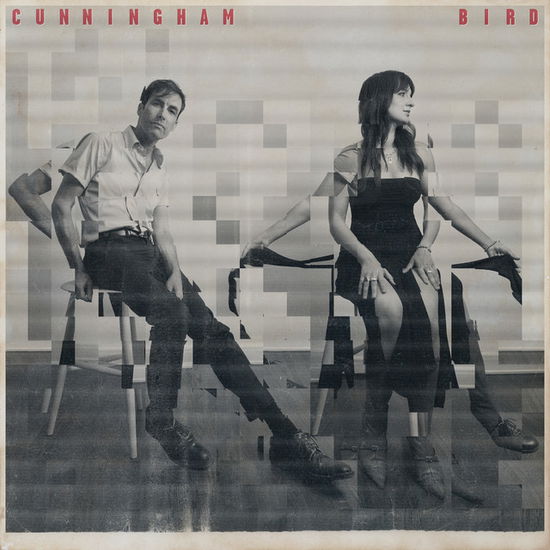 Andrew Bird & Madison Cunningham · Cunningham Bird (LP) (2024)