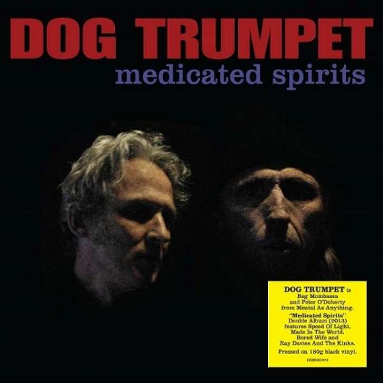 Cover for Dog Trumpet · Medicated Spirits (LP) (2022)