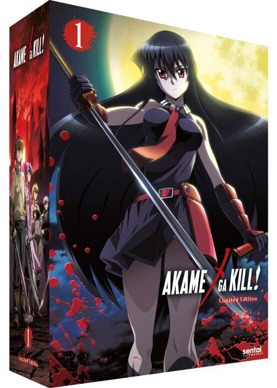 Cover for Manga · Akame Ga Kill: Col. 1 (Blu-Ray) [Limited edition] (2016)