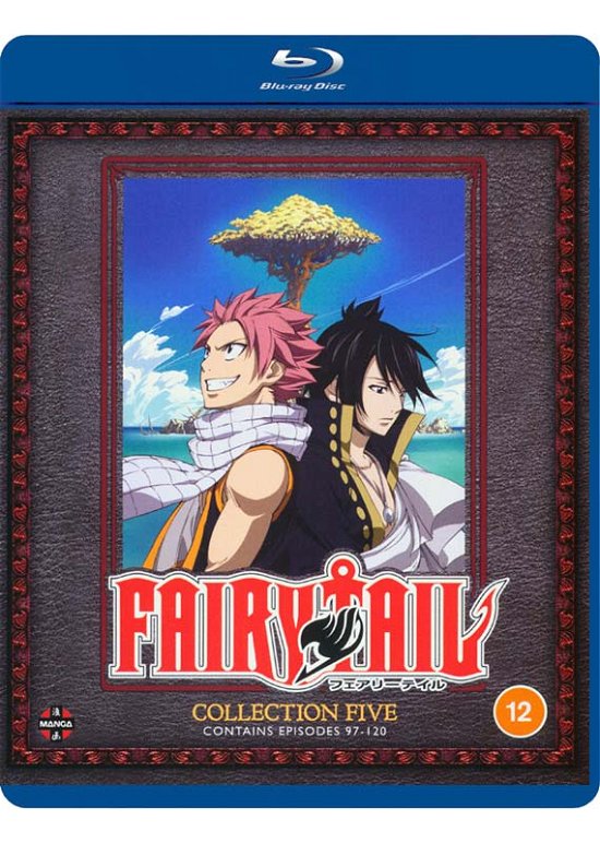 Fairy Tail Collection 5 (Episodes 97 to 120) - Shinji Ishihira - Filme - Crunchyroll - 5022366954648 - 31. August 2020
