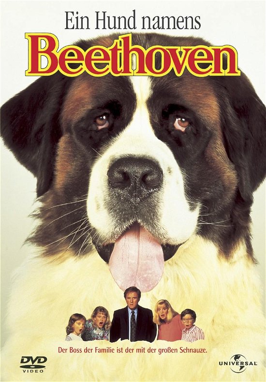 Cover for Beethoven (DVD) (2024)