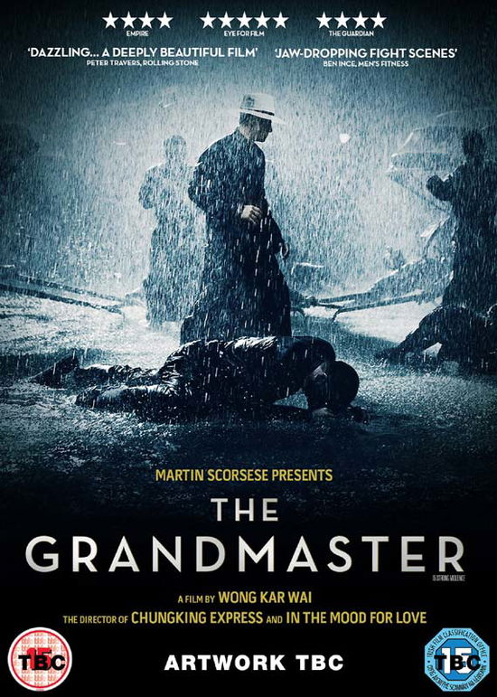 The Grandmaster - The Grandmaster - Film - Metrodome Entertainment - 5055002559648 - 29. marts 2015