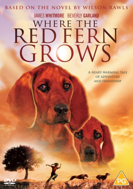 Cover for Where the Red Fern Grows · Where The Red Fern Grows (DVD) (2020)