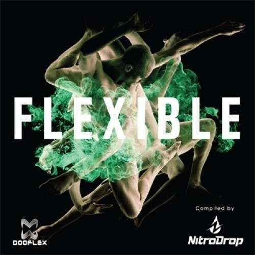 Cover for Flexible / Various · Flexible (CD) (2012)