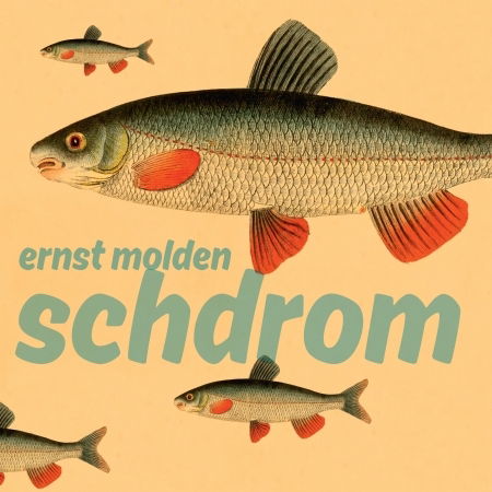 Schdrom - Ernst Molden - Music - Hoanzl - 9008798201648 - 