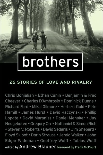 Cover for A Blauner · Brothers: 26 Stories of Love and Rivalry (Paperback Book) (2010)