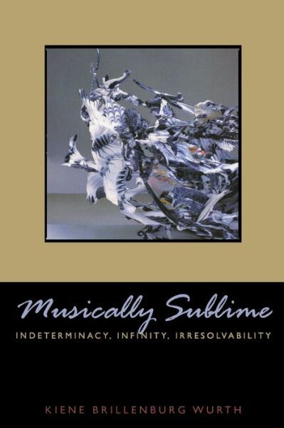 Cover for Kiene Brillenburg Wurth · Musically Sublime: Indeterminacy, Infinity, Irresolvability (Paperback Book) (2012)