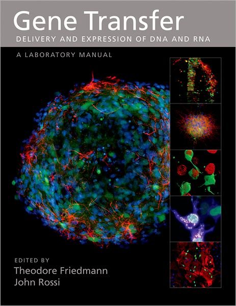 Cover for Gene Transfer: Delivery and Expression of DNA and RNA (Hardcover Book) (2006)