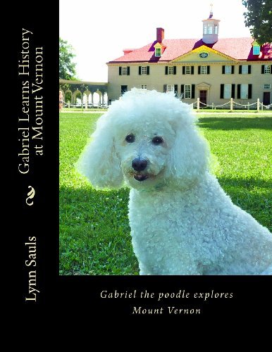 Cover for Lynn B Sauls · Gabriel Learns History at Mount Vernon (Paperback Book) (2013)