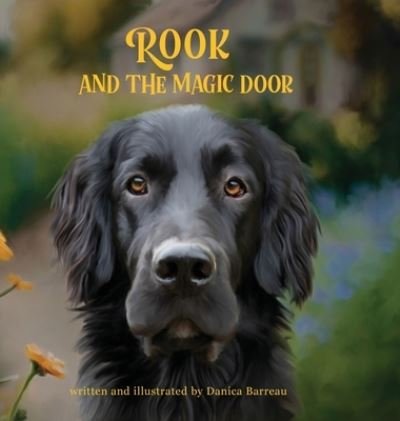 Cover for Danica Barreau · Rook and the Magic Door (Buch) (2023)