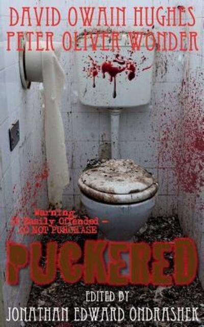 Cover for David Owain Hughes · Puckered (Paperback Book) (2017)