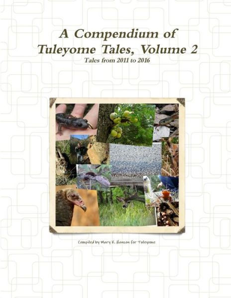 Cover for Compiled by Mary K. Hanson for Tuleyome · A Compendium of Tuleyome Tales, Volume 2 (Paperback Book) (2015)