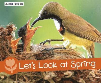 Cover for Sarah L. Schuette · Let's Look at Spring - Investigate the Seasons (Paperback Book) (2019)