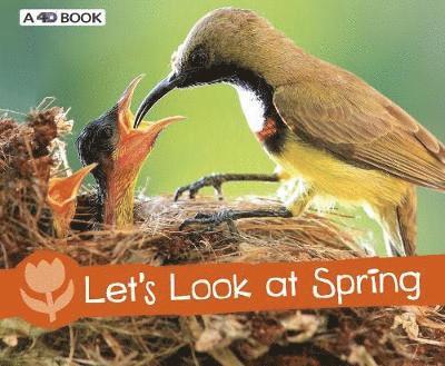 Let's Look at Spring - Investigate the Seasons - Sarah L. Schuette - Books - Capstone Global Library Ltd - 9781474756648 - January 24, 2019