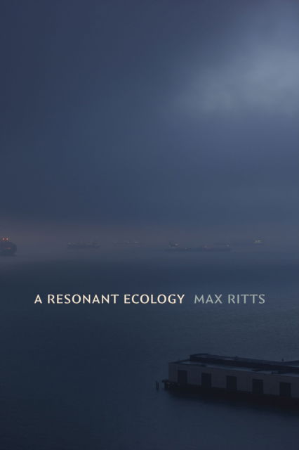 Cover for Max Ritts · A Resonant Ecology - Sign, Storage, Transmission (Hardcover Book) (2024)