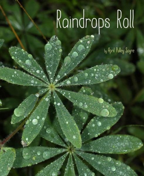 Cover for April Pulley Sayre · Raindrops Roll (Hardcover Book) (2015)