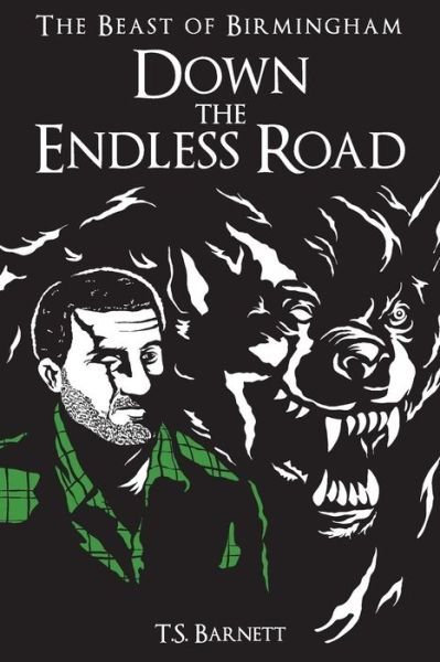 Cover for T S Barnett · Down the Endless Road (Paperback Book) (2015)